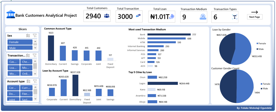 My First Data Analysis Project dashboard preview